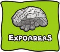 Marca Proyecto